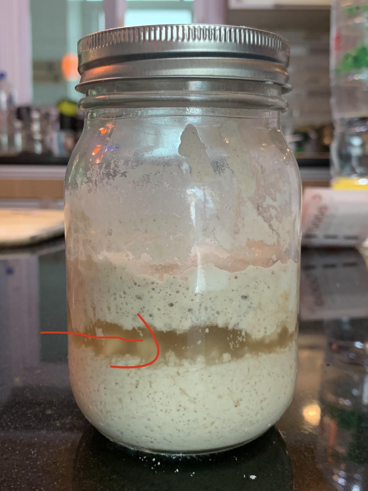 Is this sourdough gone bad? The Fresh Loaf