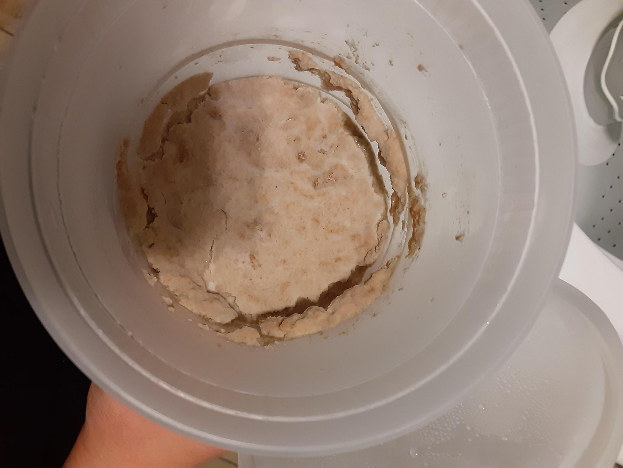 Help, is my sourdough starter moldy?? The Fresh Loaf