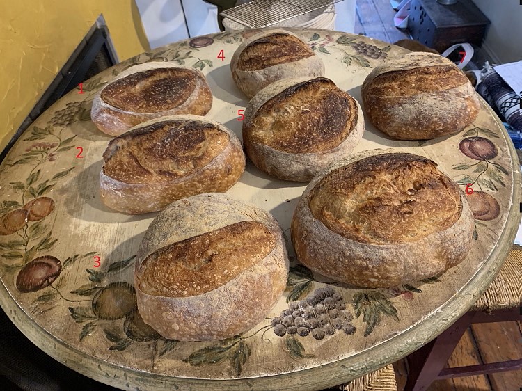 Batch of Sourdough Bread The Fresh Loaf