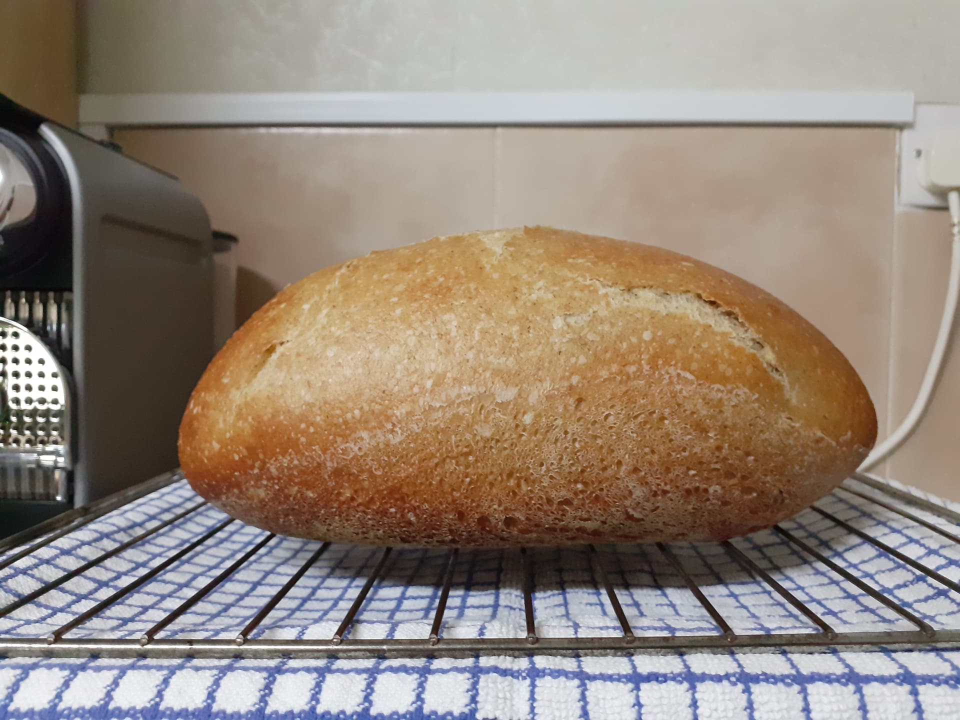 A Tale of Two PreFerments The Fresh Loaf