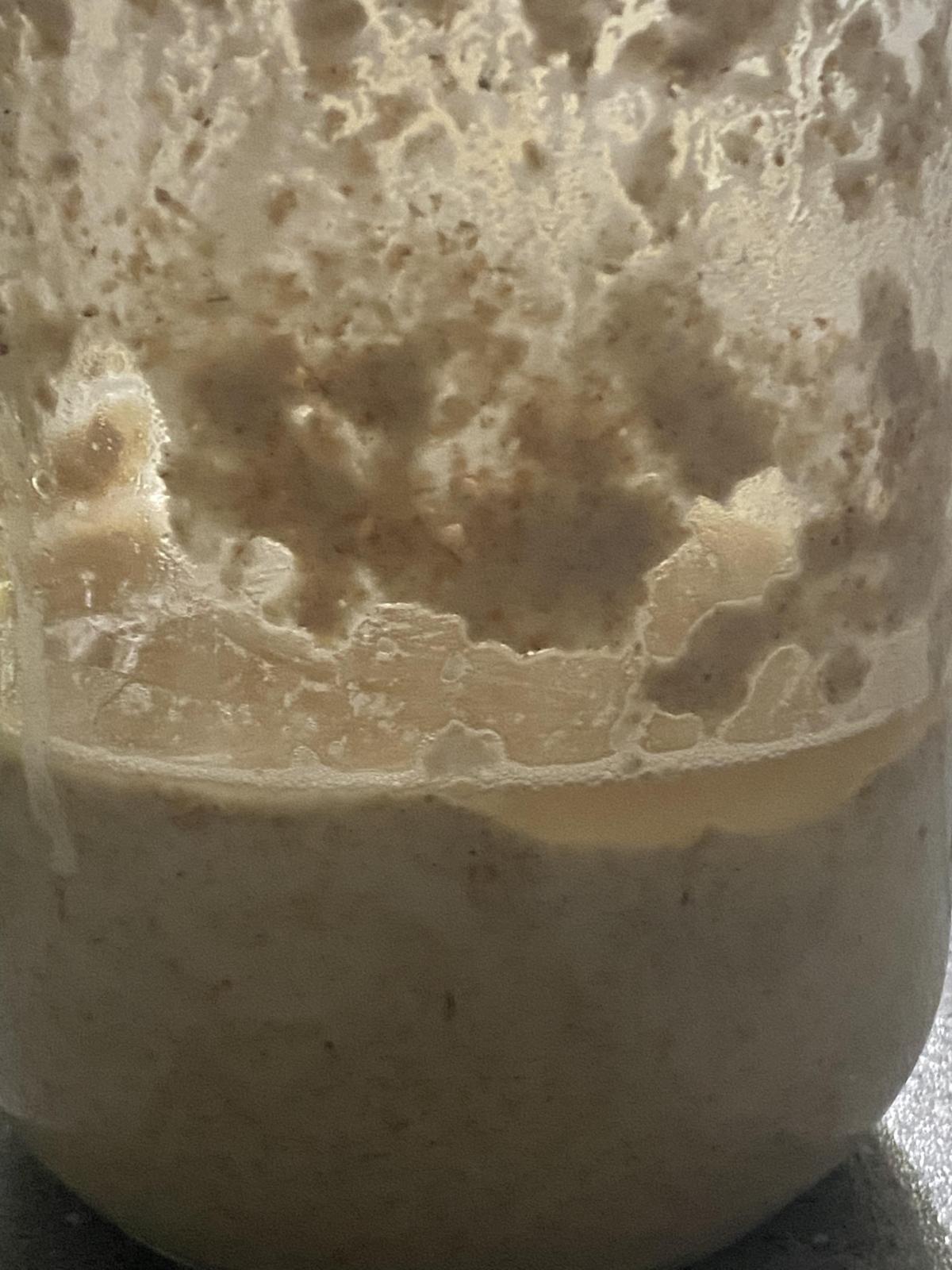 Making an Incredible Sourdough Starter from Scratch in 7 Easy Steps