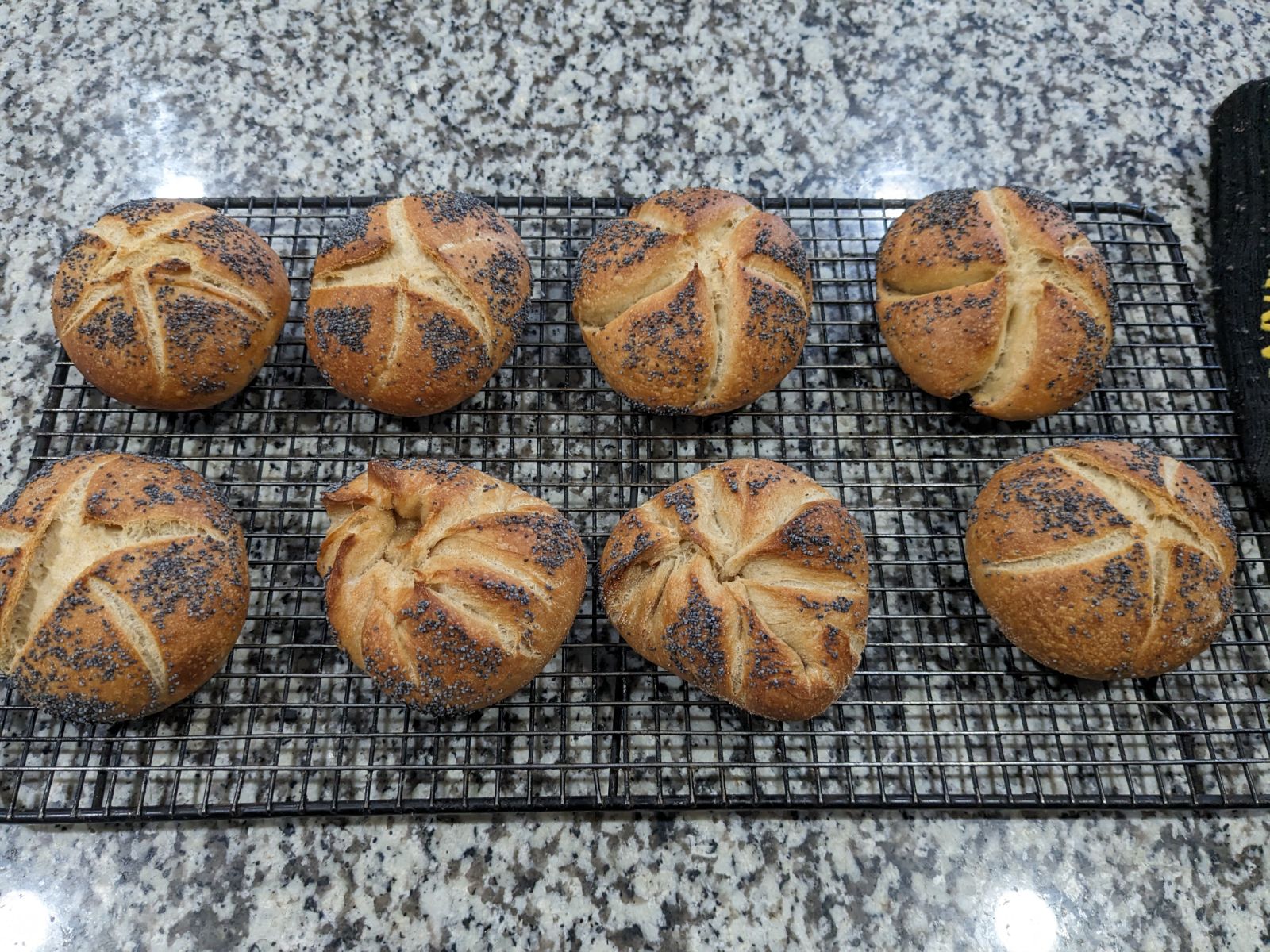 Today's exercise Kaiser rolls, stamped/folded The Fresh Loaf