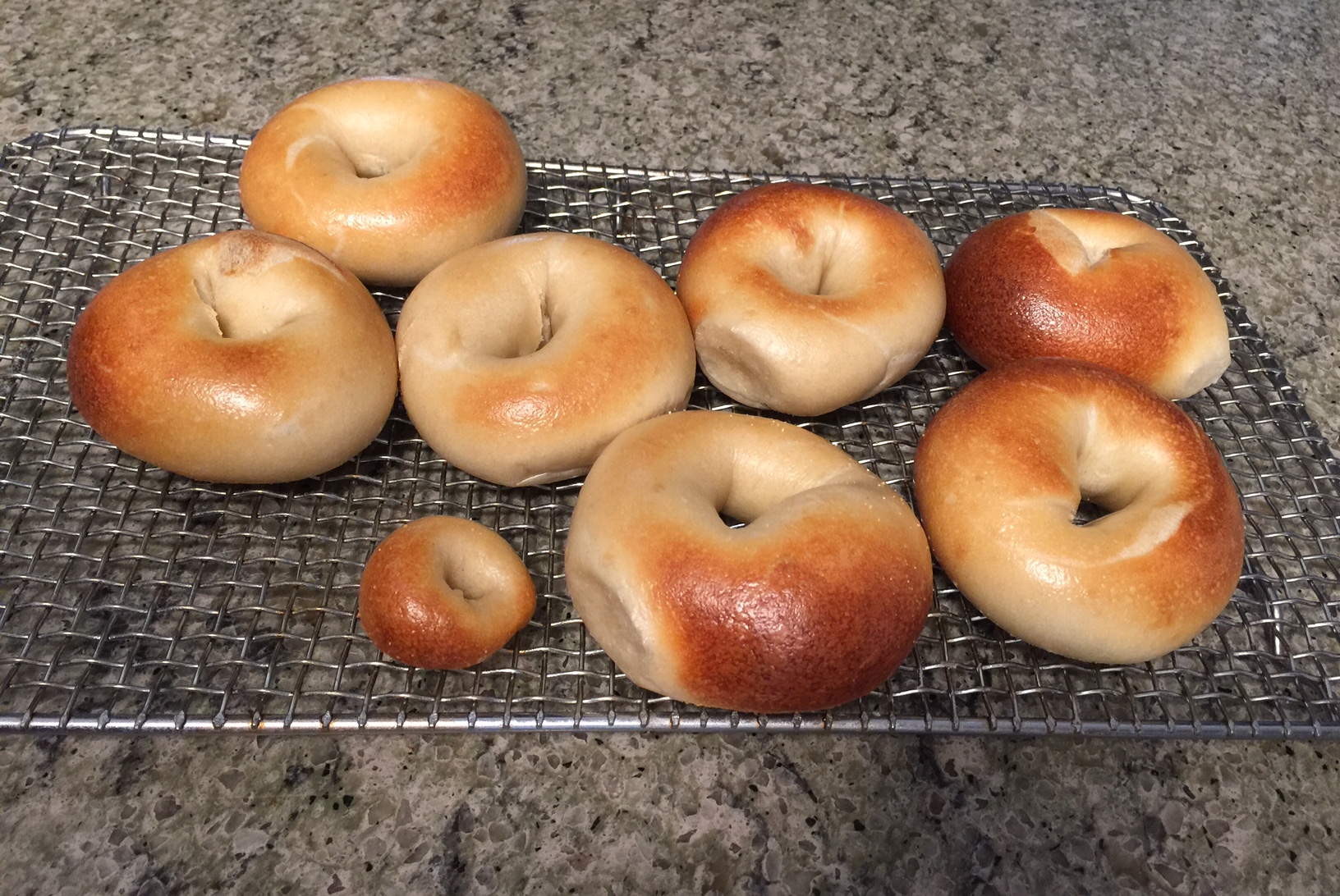 Bagel Happy Dance The Fresh Loaf