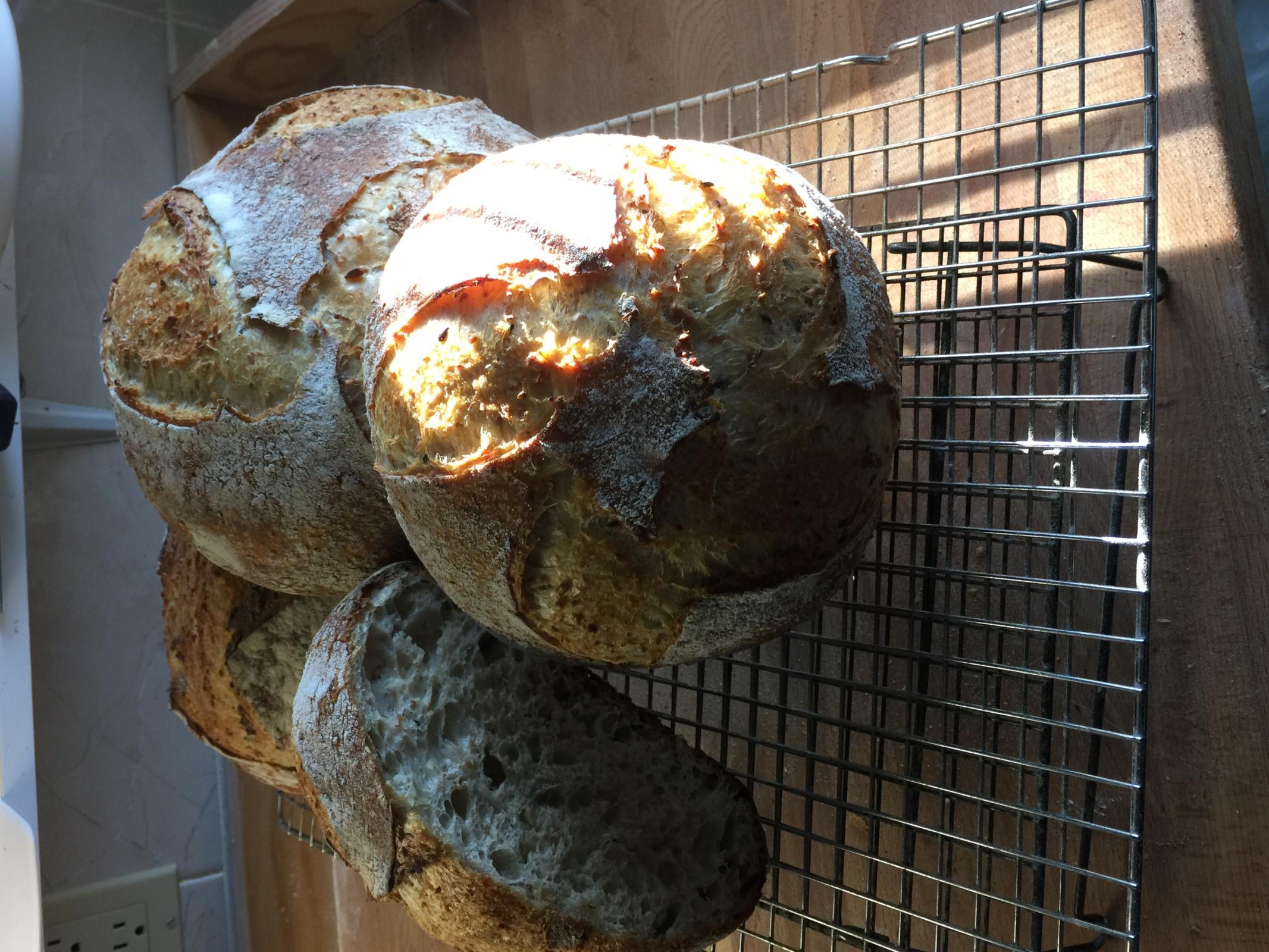 Dutch oven loaf The Fresh Loaf