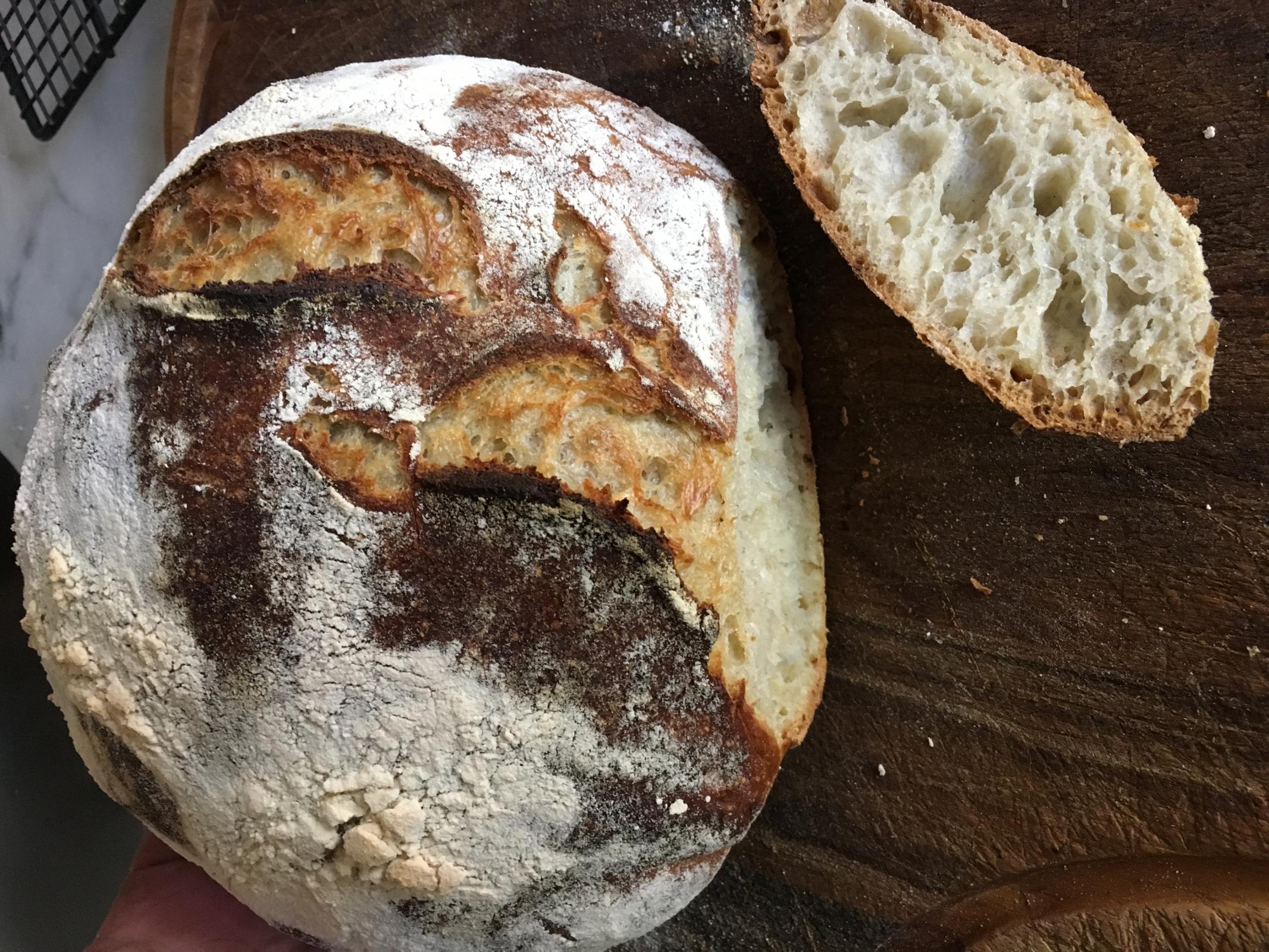 bread from dough 6 days young The Fresh Loaf