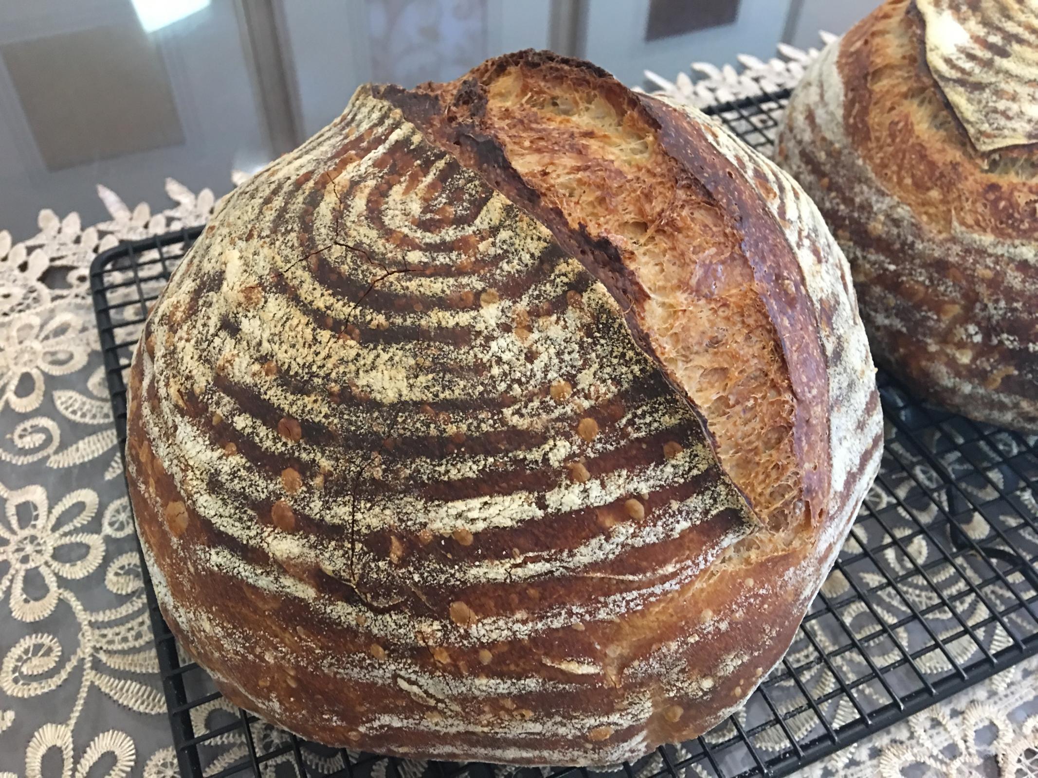 Pain de Campagne from "Flour Water Salt Yeast" (Forkish) The Fresh Loaf