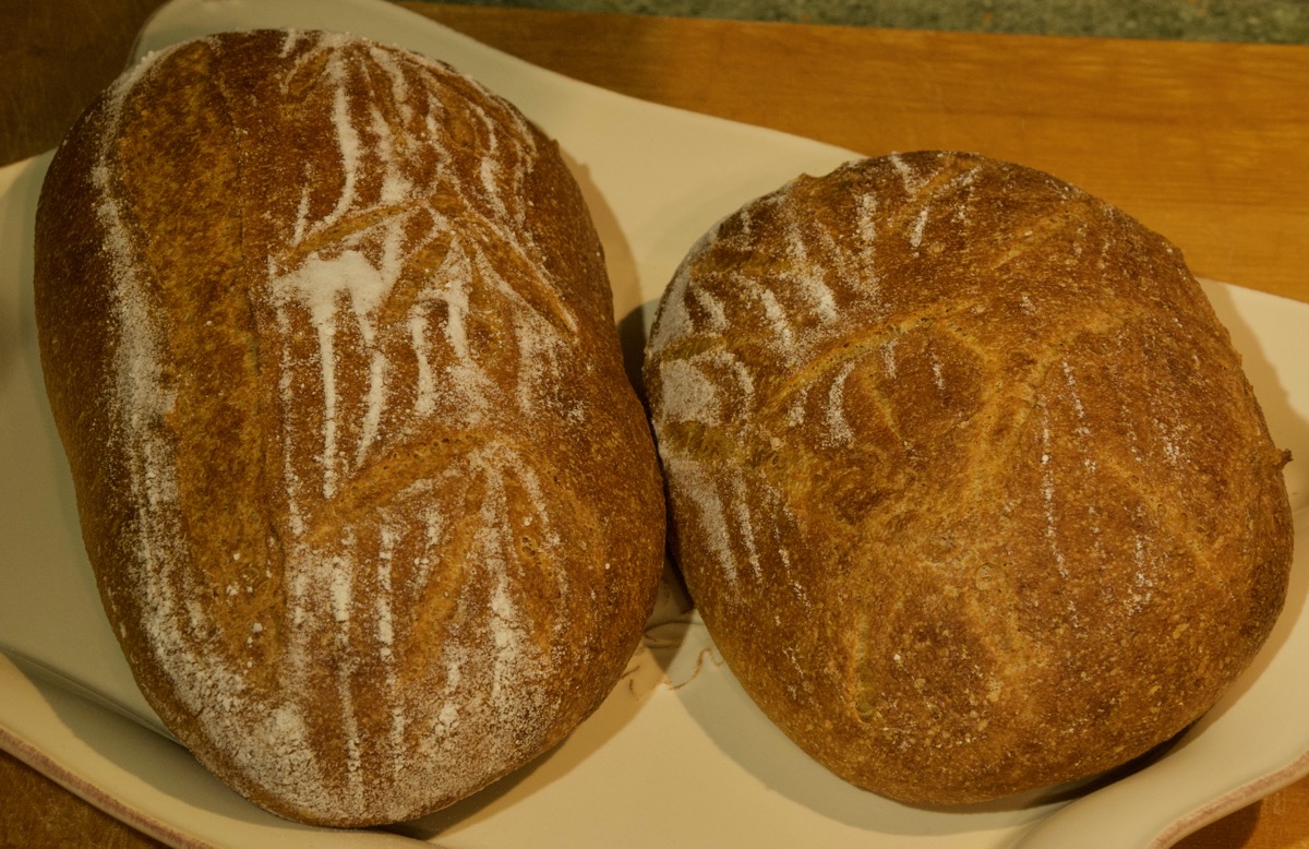 Whole Wheat Durum Greek Yogurt Bread The Fresh Loaf