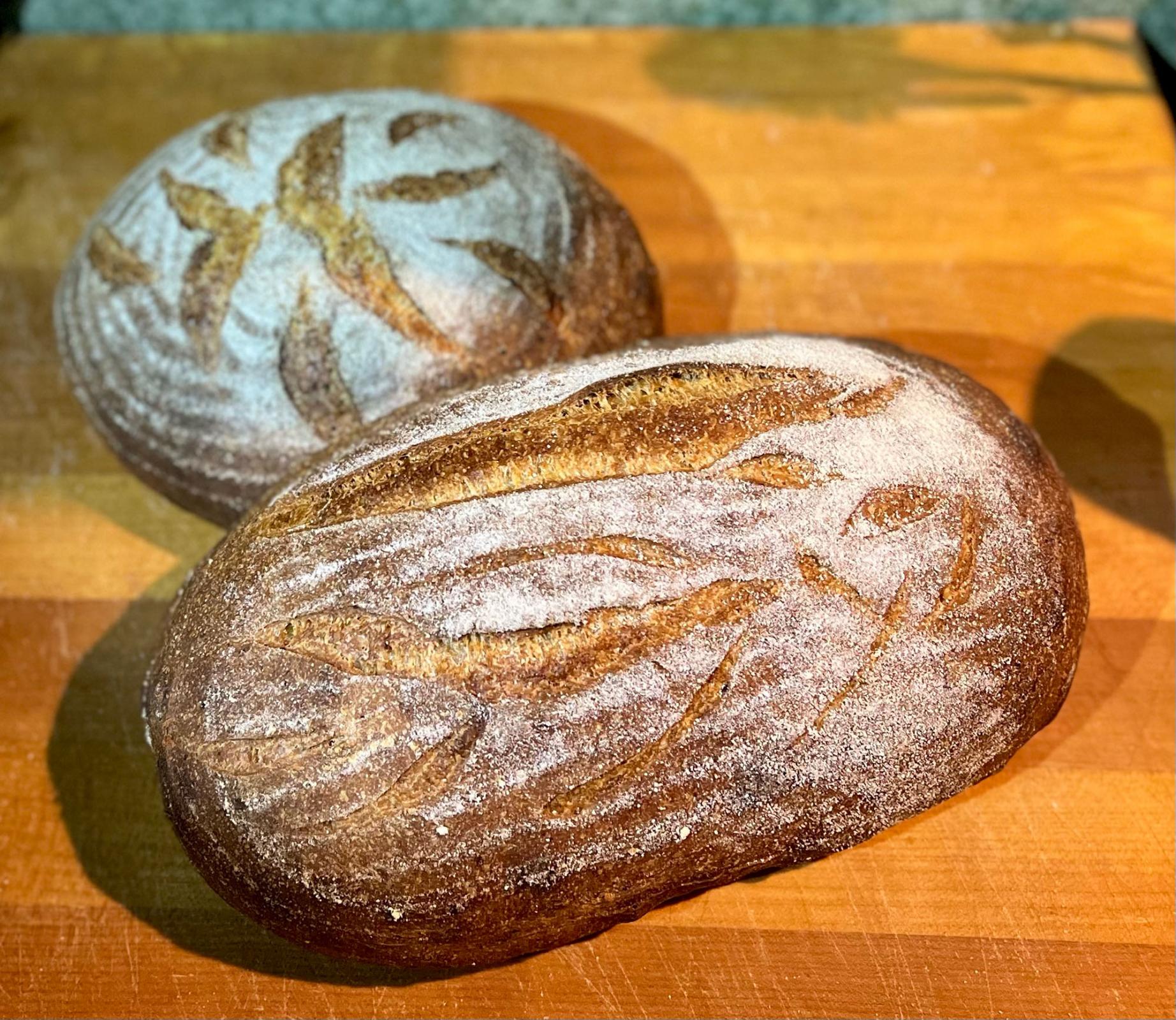 DurumQuanah (Whole Wheat) Grits Bread The Fresh Loaf