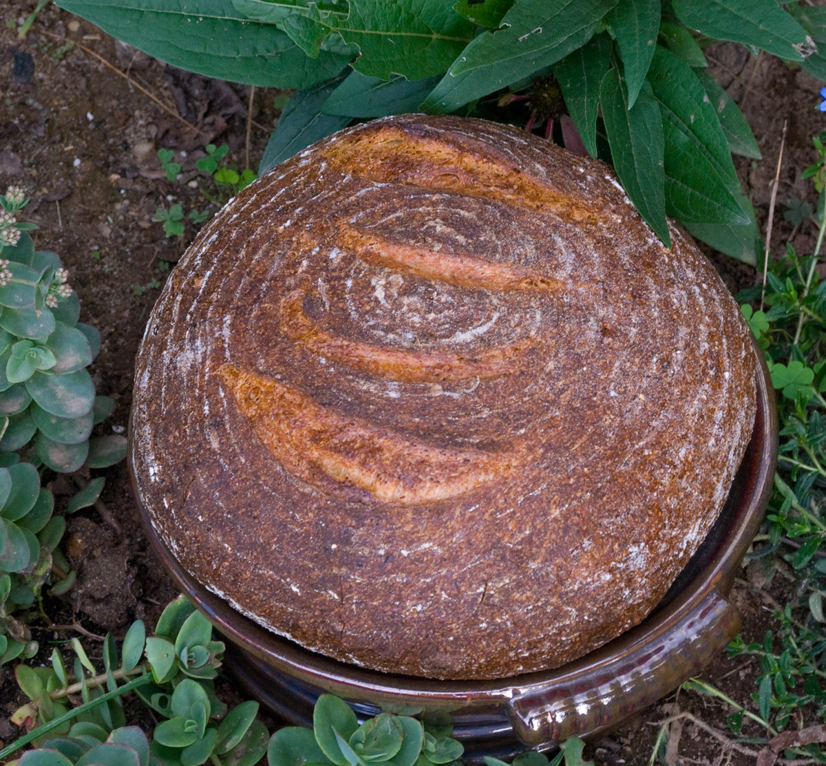 KISS MY GRITS RICOTTA BREAD The Fresh Loaf