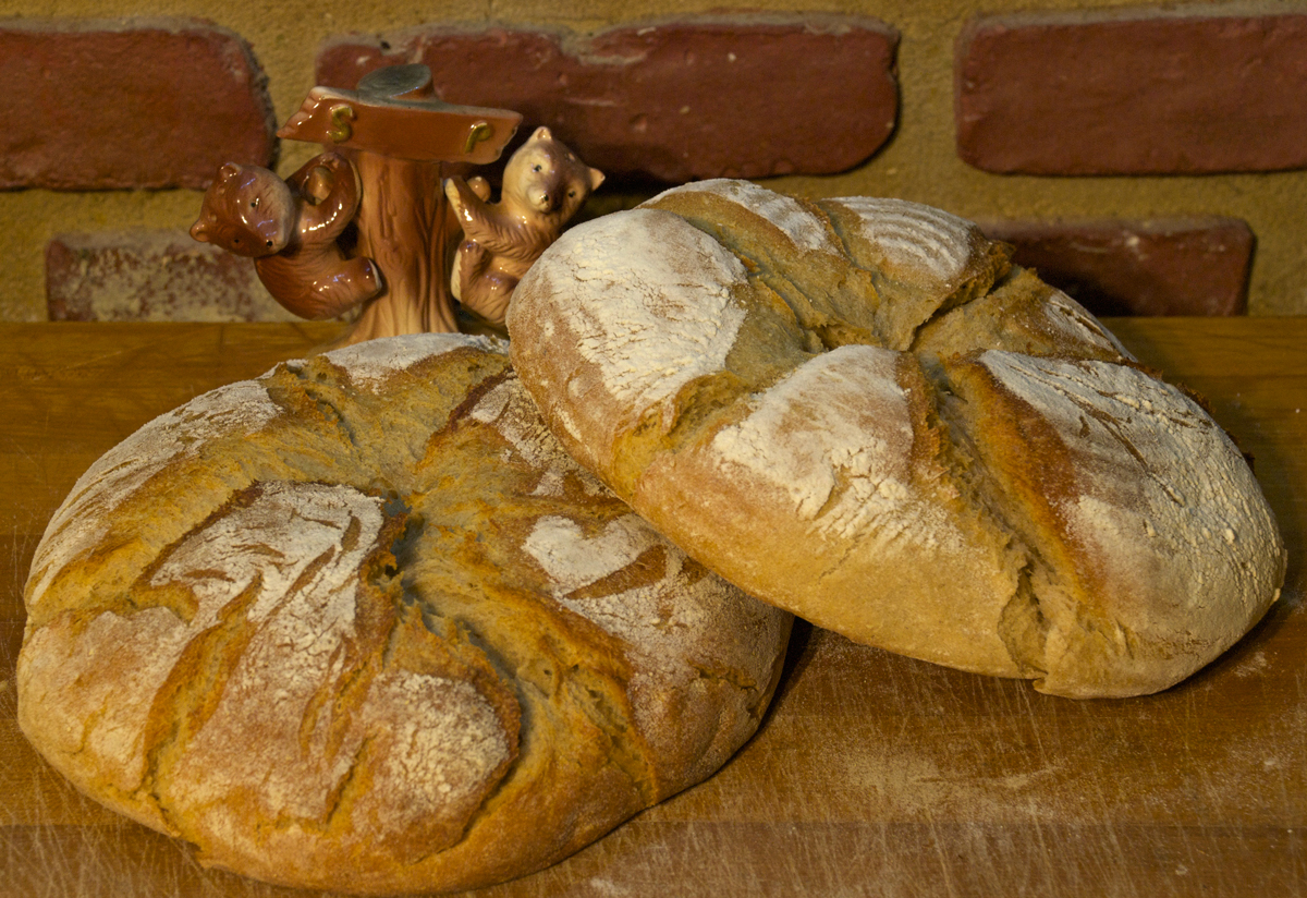 MÜNSTER FARM LOAF/MÜNSTERLÄNDER BAUERNSTUTEN | The Fresh Loaf