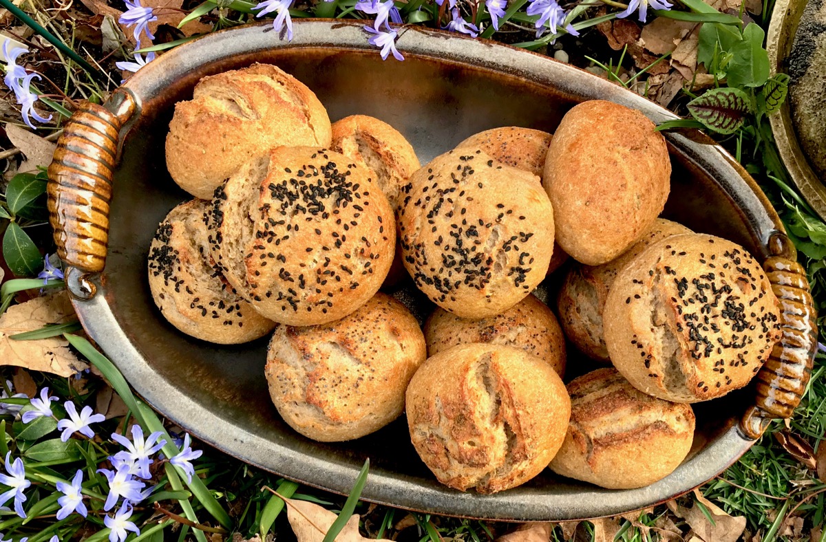 BarleyWhole WheatPotato Yogurt Tangzhong Sourdough Rolls The Fresh Loaf