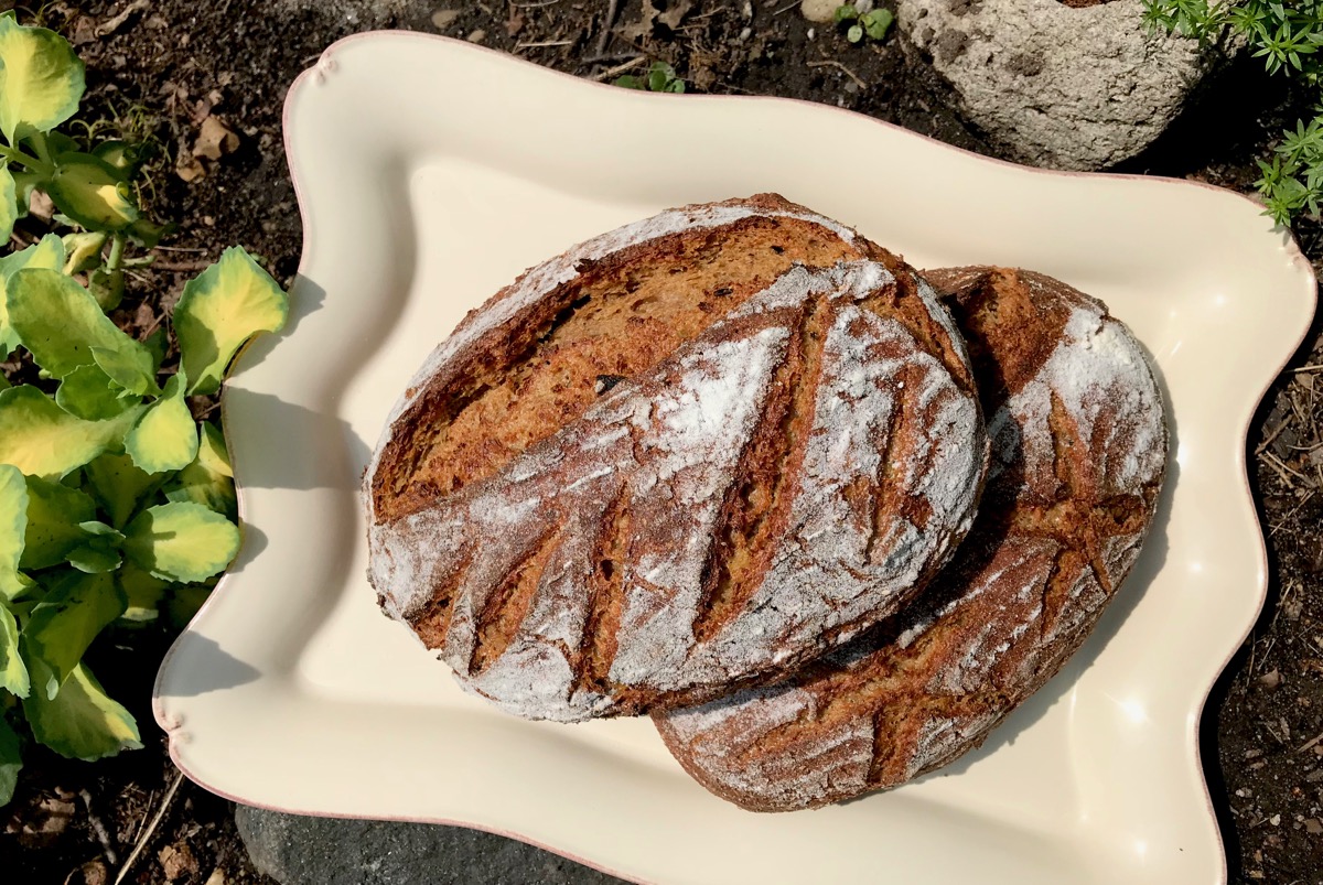 Potato Rye Date Porridge Bread The Fresh Loaf