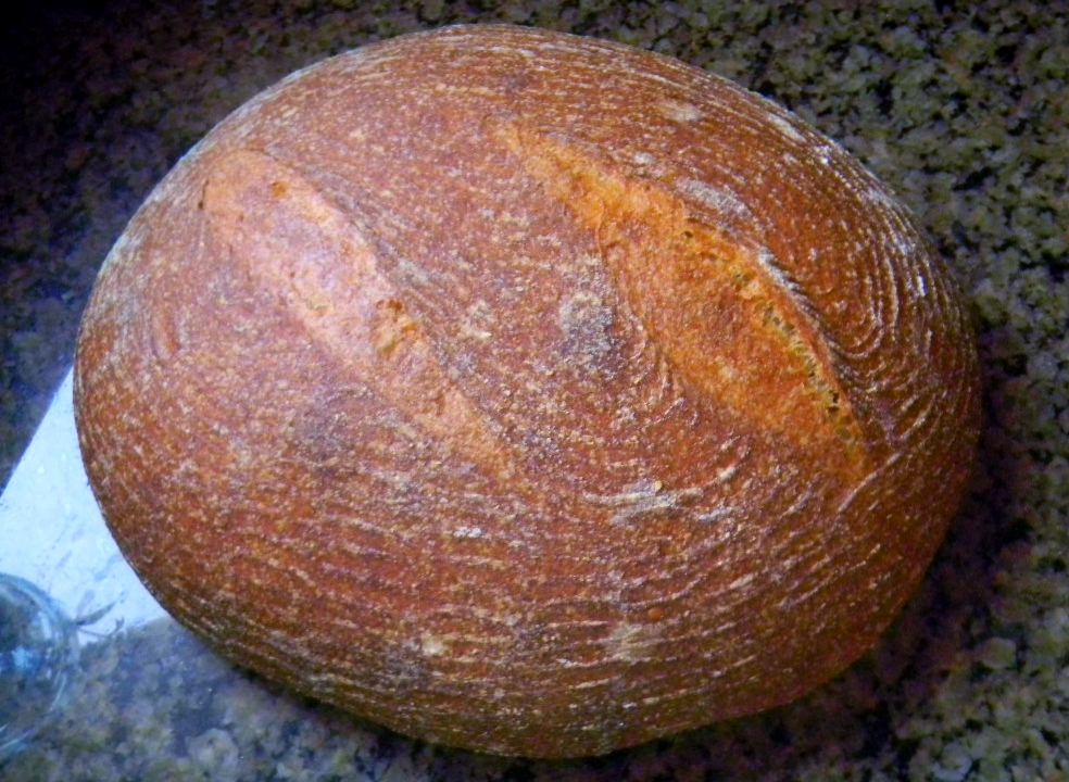 100 Whole Grain Kamut With 14 Sprouted The Fresh Loaf