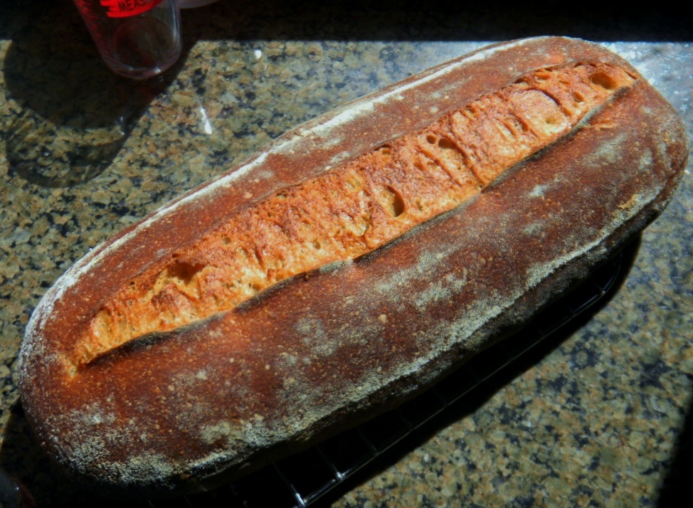 Sprouted Kamut Sourdough 75 Whole Grain The Fresh Loaf