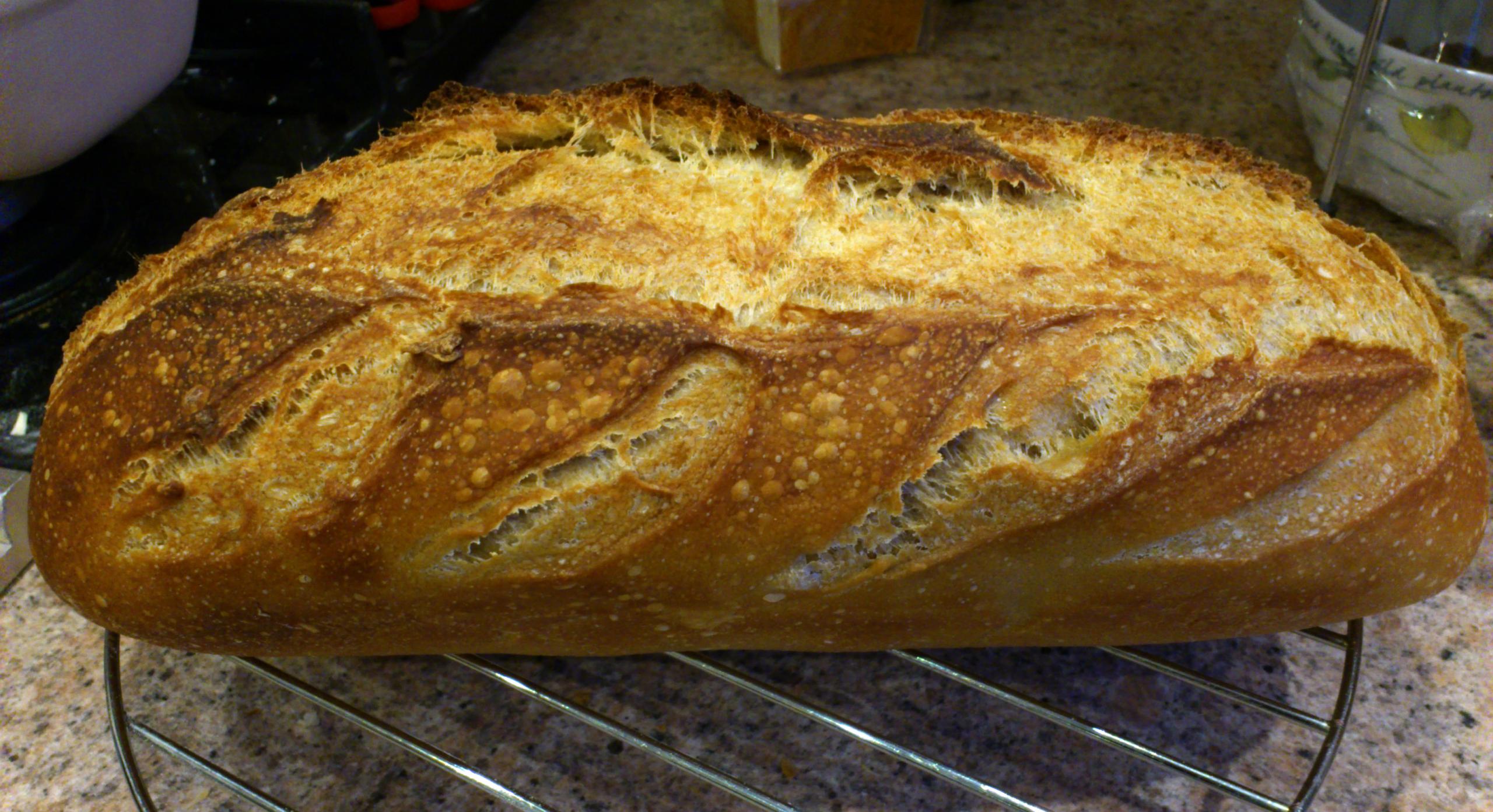 Breadtopia Cloche Bread Baker — Round