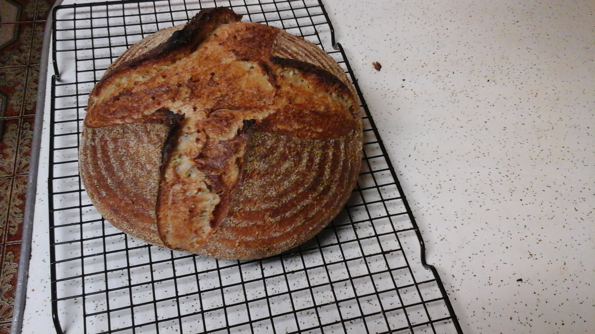 Millet porridge and sprouted multigrain bread. The Fresh Loaf
