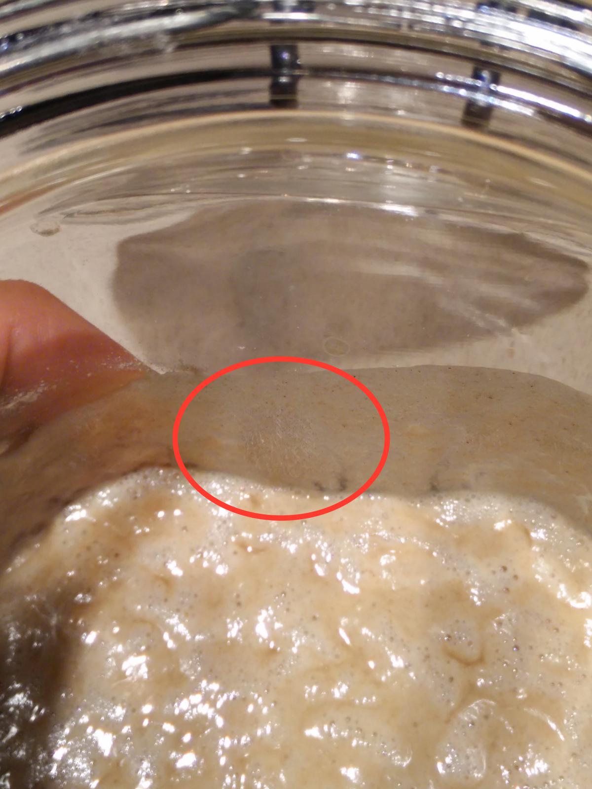 Fuzzy mould on side of jar after using pineapple juice with starter