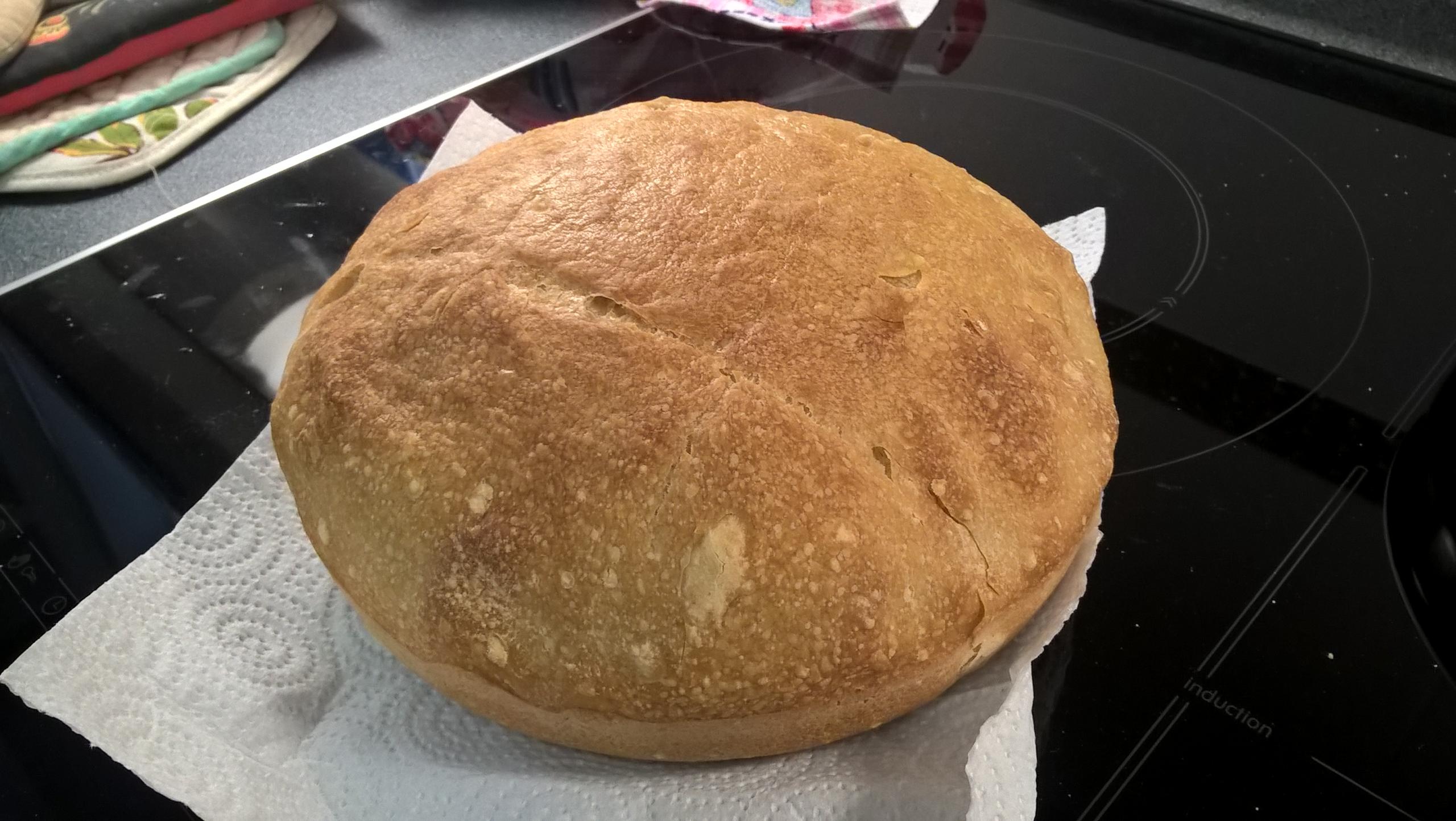 Same dough, different DO opening temps The Fresh Loaf