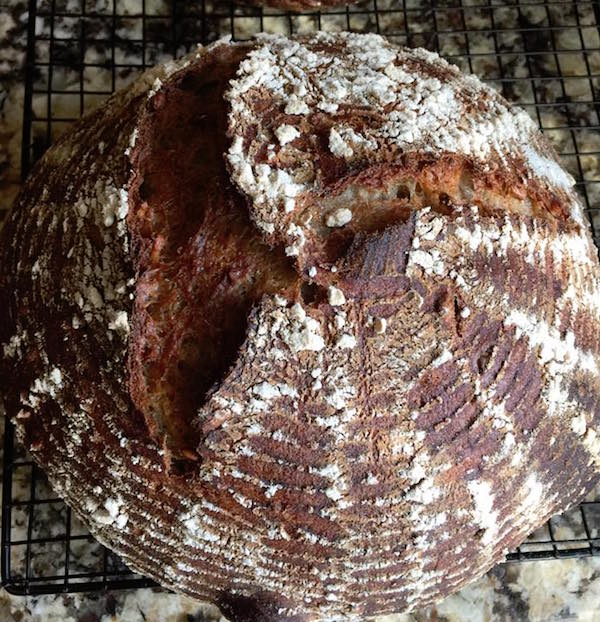 Sprouted buckwheat groats, toasted farrow and sunflower seed multigrain