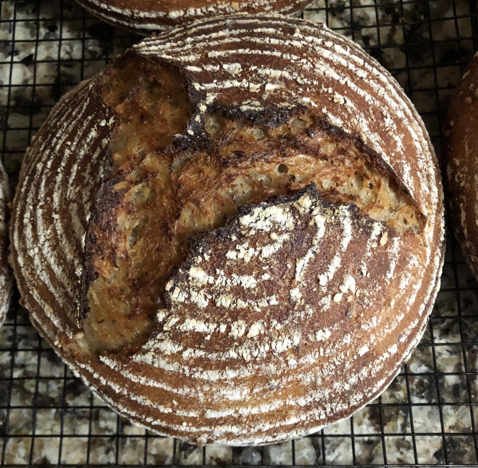 Durum Buckwheat with Toasted Groats The Fresh Loaf