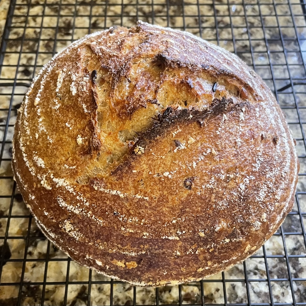 Wild Blend Rice Sourdough with Onions The Fresh Loaf
