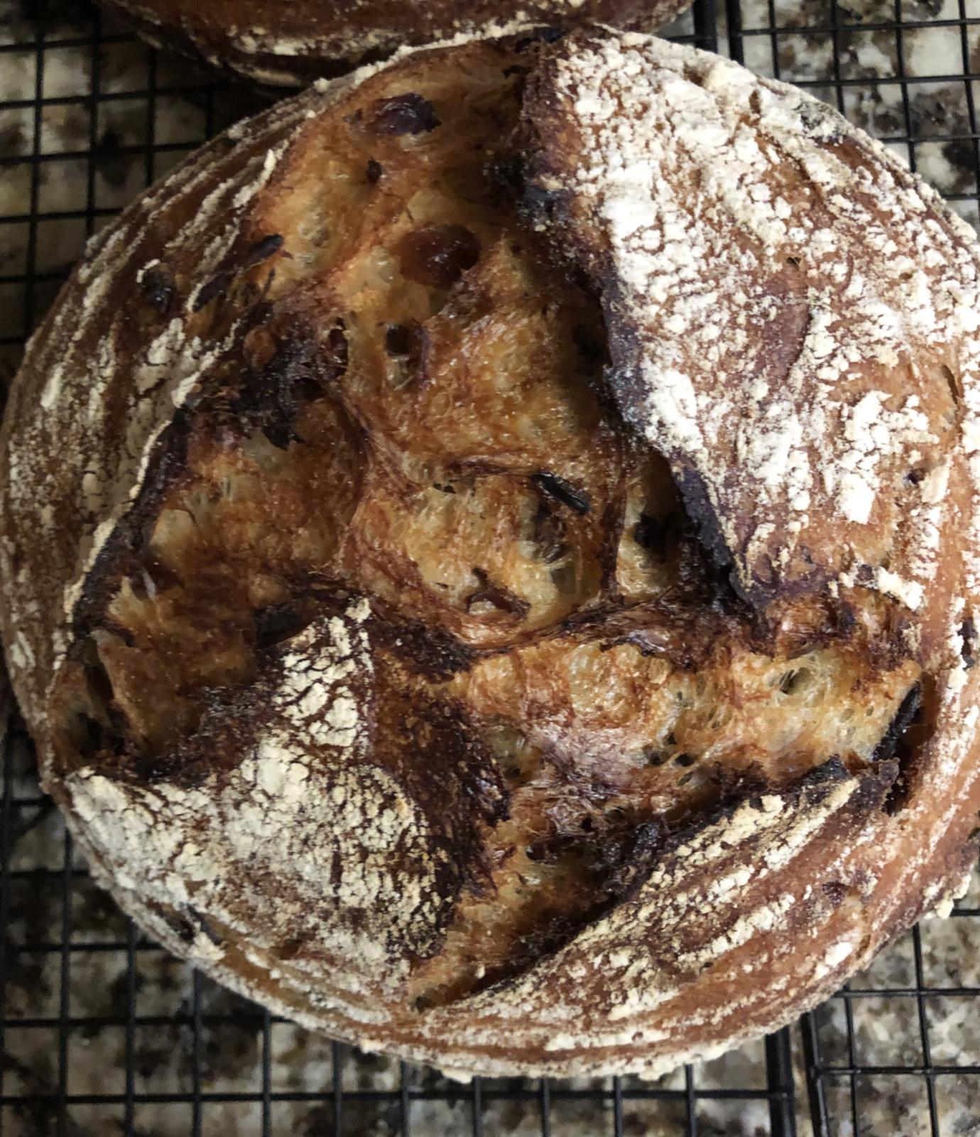 Wild Rice Sourdough with Cranberries The Fresh Loaf