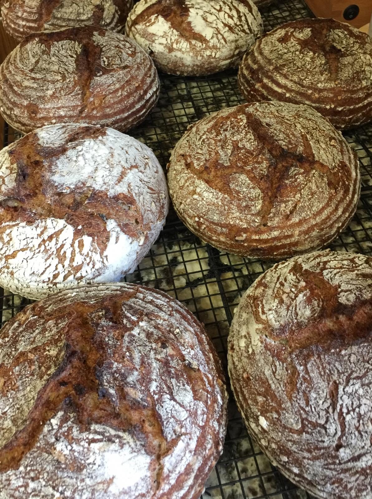 Buckwheat Groats Sourdough with Apples and Apricots The Fresh Loaf