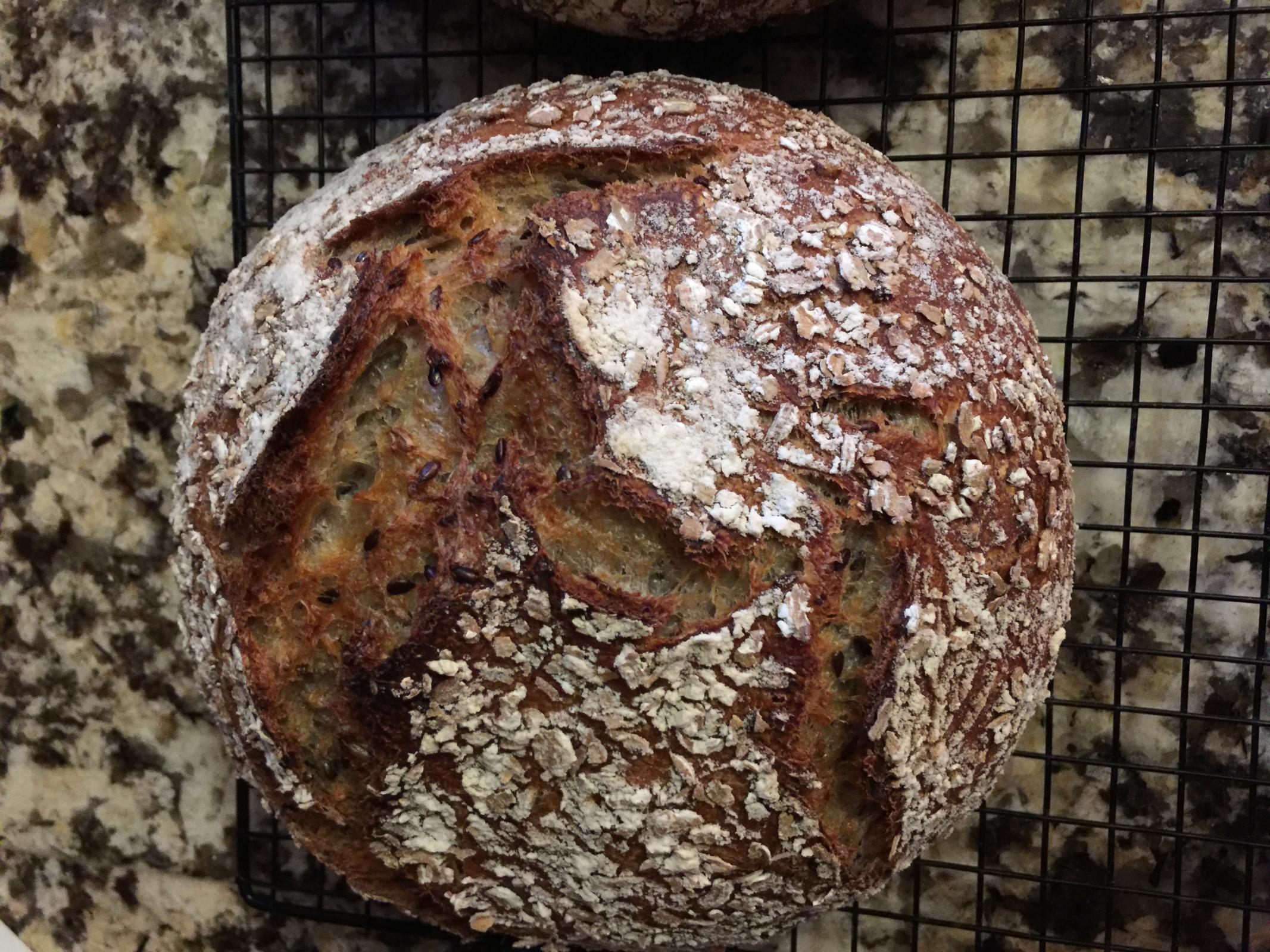 Buckwheat Sourdough with Seeds and Sprouts The Fresh Loaf