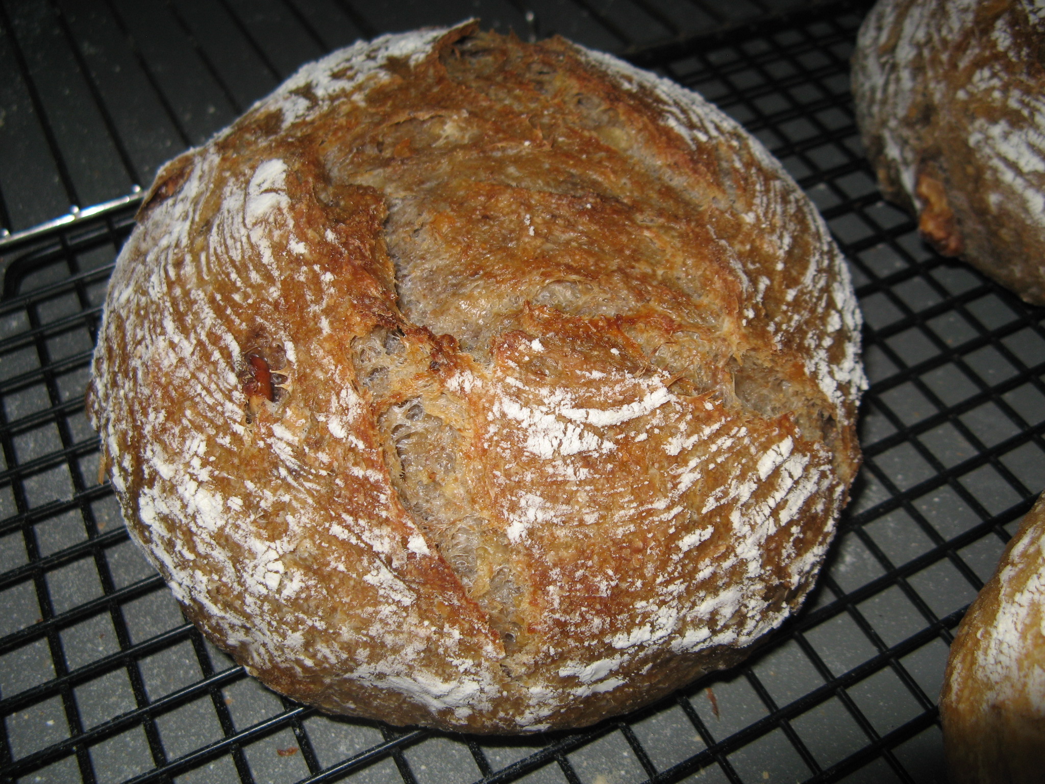 Tartine Porridge and other things The Fresh Loaf