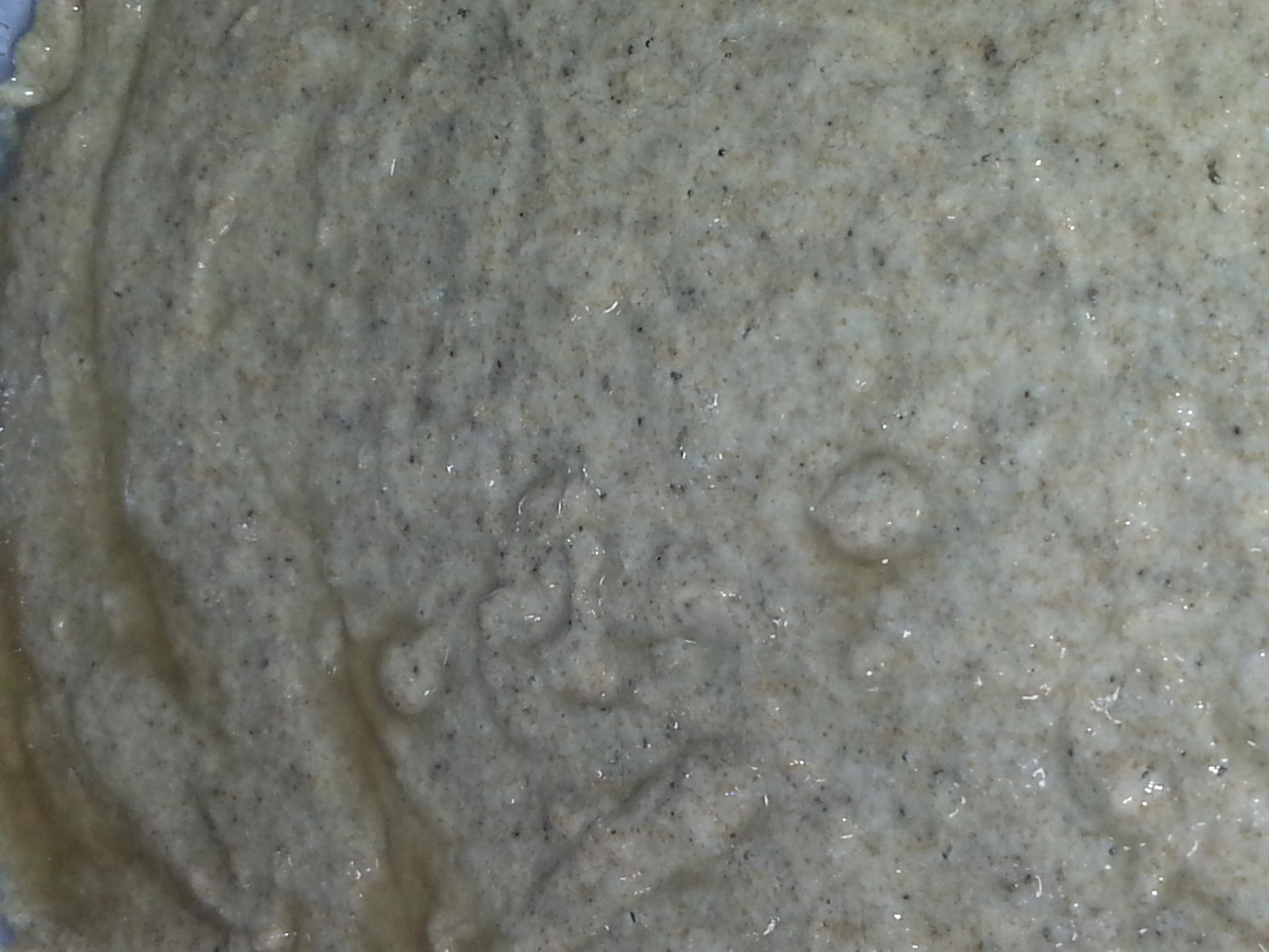 Abnormal black dots on the surface of my halfday old sour dough