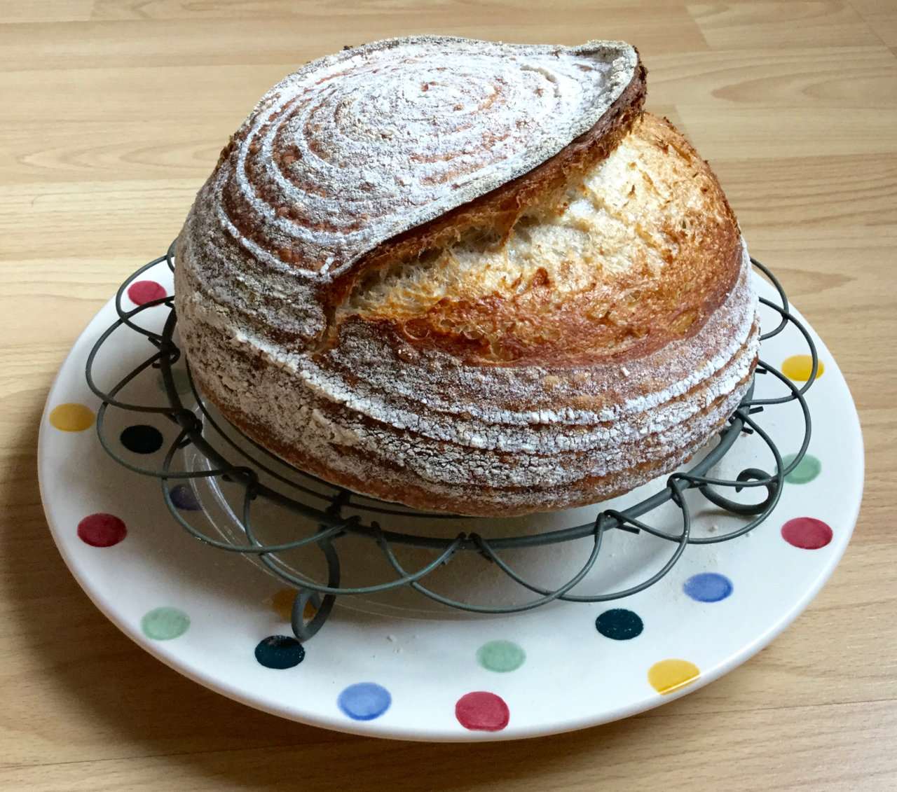 Help! I don't really know how Sourdough should taste! The Fresh Loaf