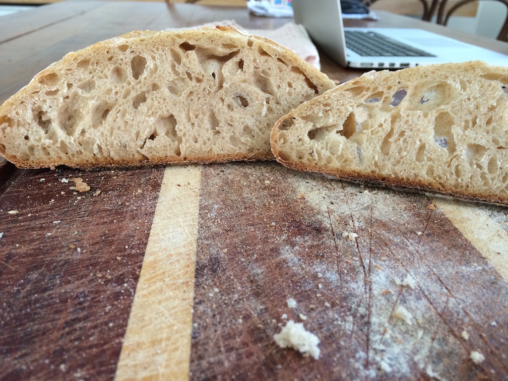 A little overproofed? What do you think? The Fresh Loaf