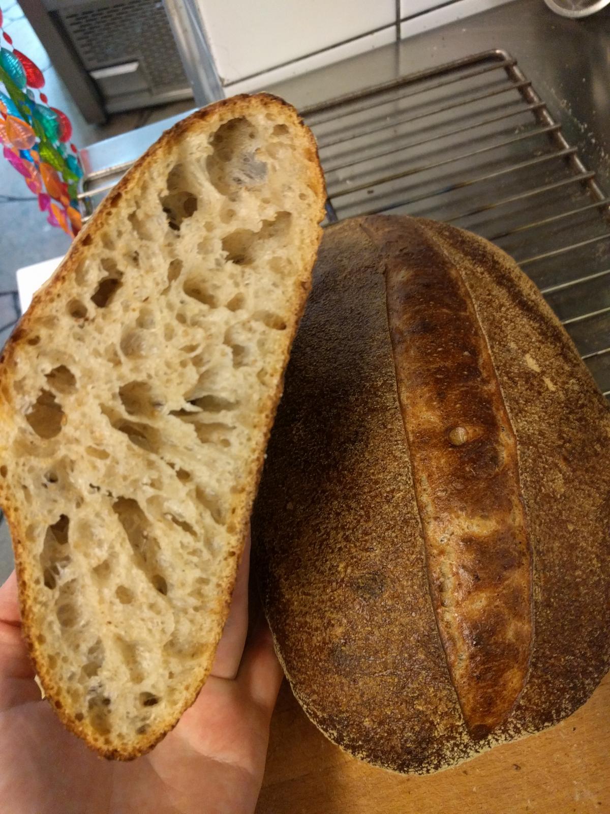 Overproof, poor shaping or poor cutting? The Fresh Loaf
