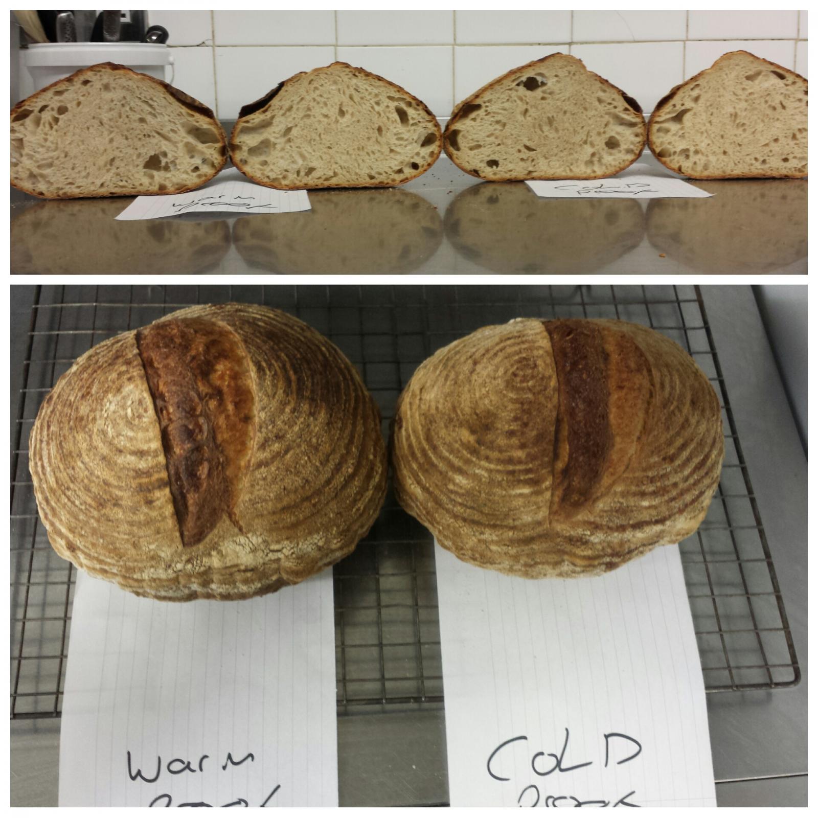 Sourdough Bread: Times and Temperatures