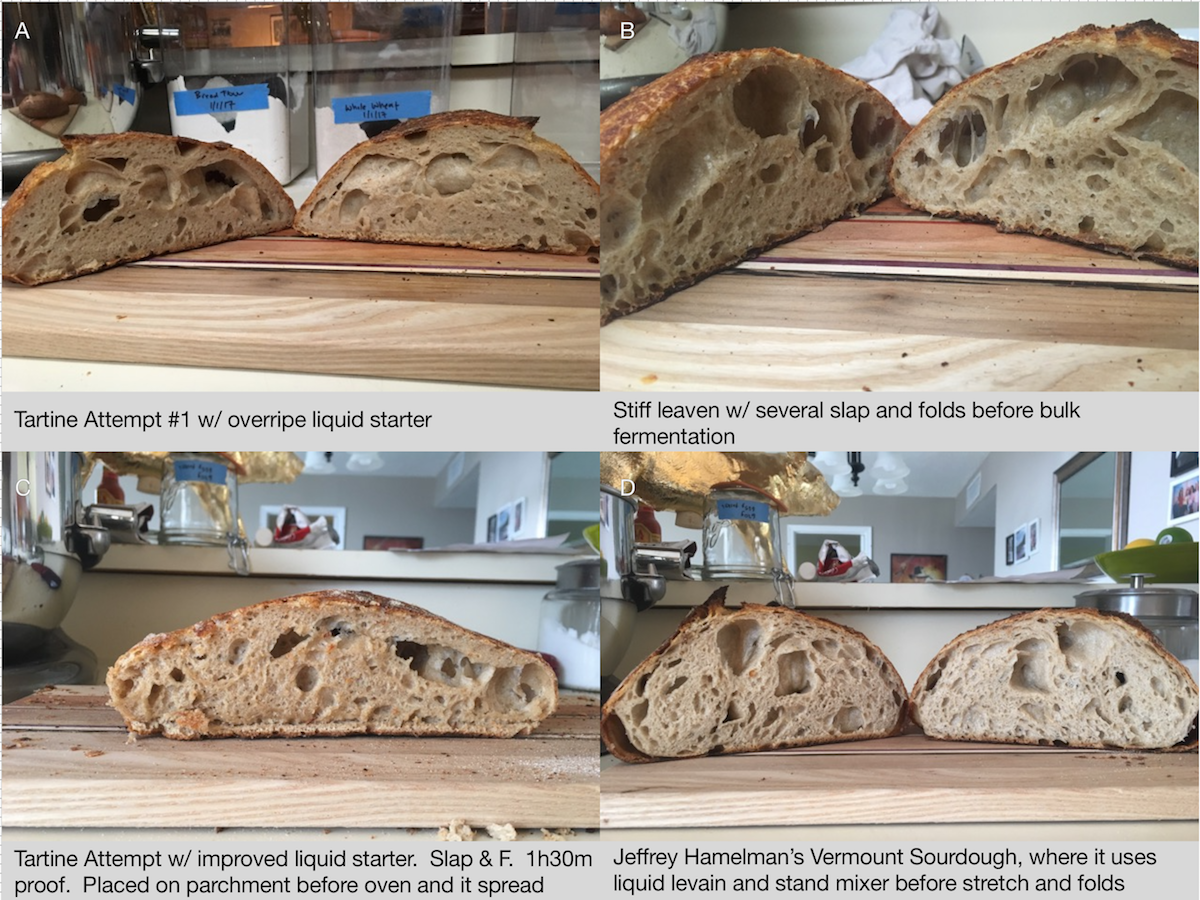 Modsatte Forfølgelse kabine Bread progression - is more mixing what I'm missing? | The Fresh Loaf