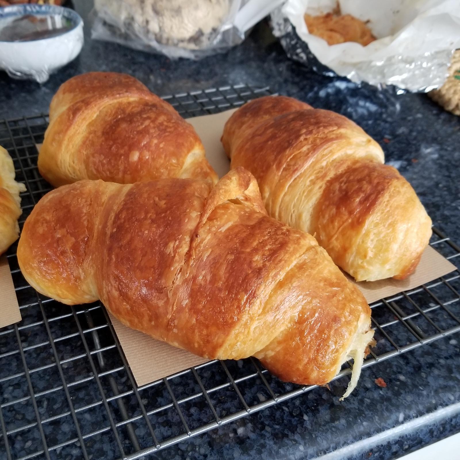 Flavorful, Flaky, French A Croissant Craze by Pedigree The Fresh Loaf