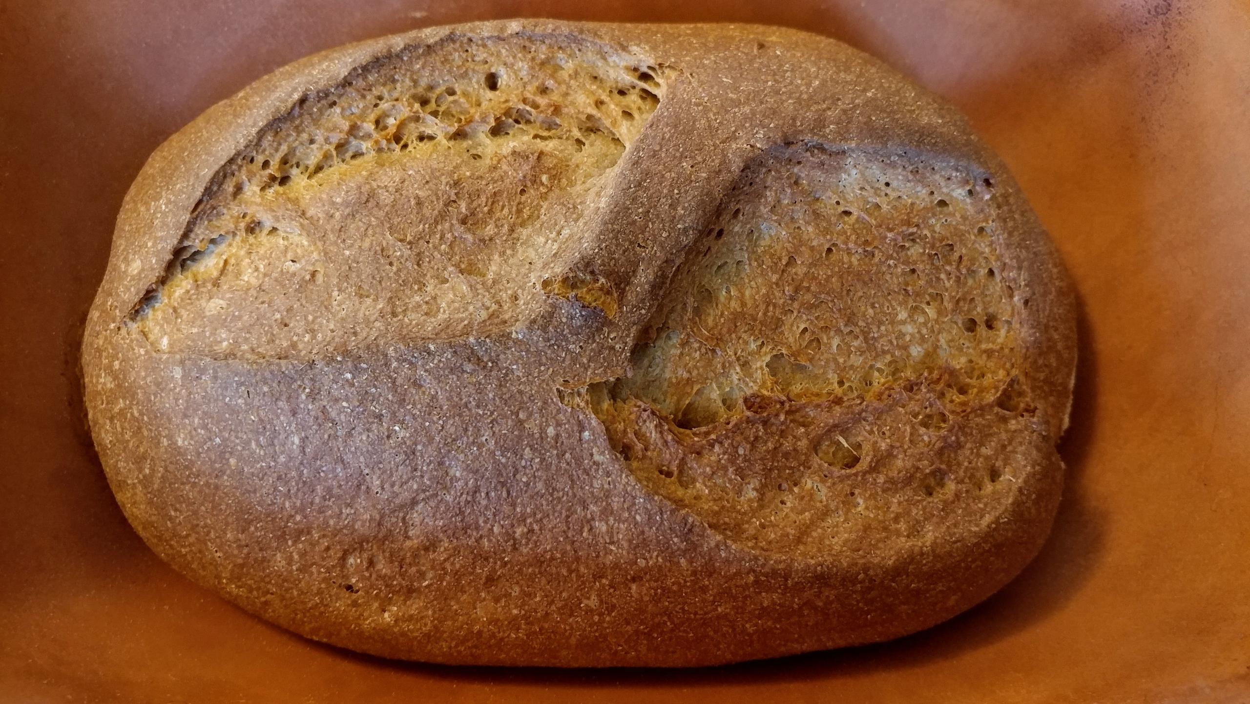 100 Whole Wheat Kamut with Raisin Yeast Water The Fresh Loaf