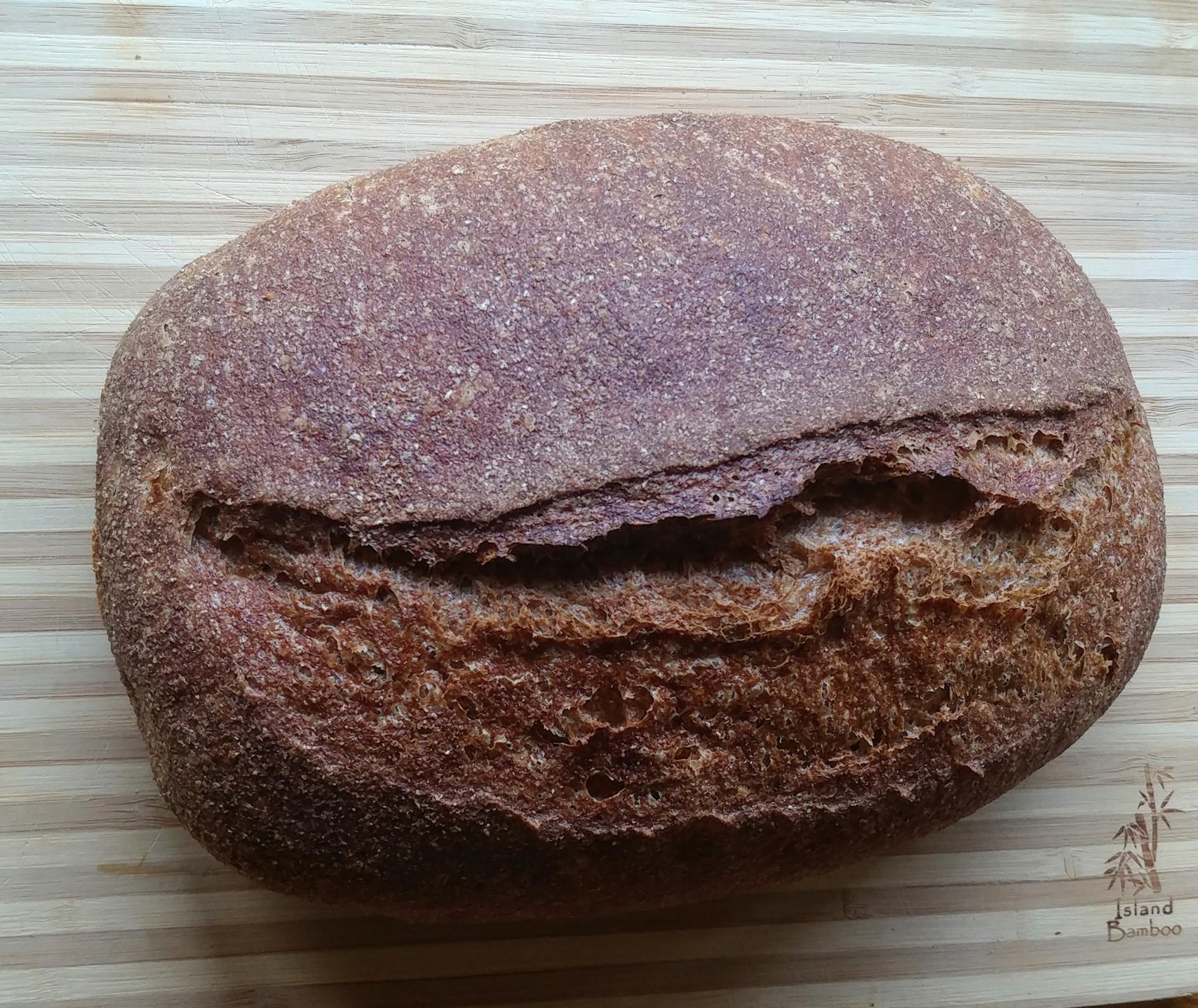 100 Fresh Milled Whole Wheat Poolish Bake Lean Dough The Fresh Loaf