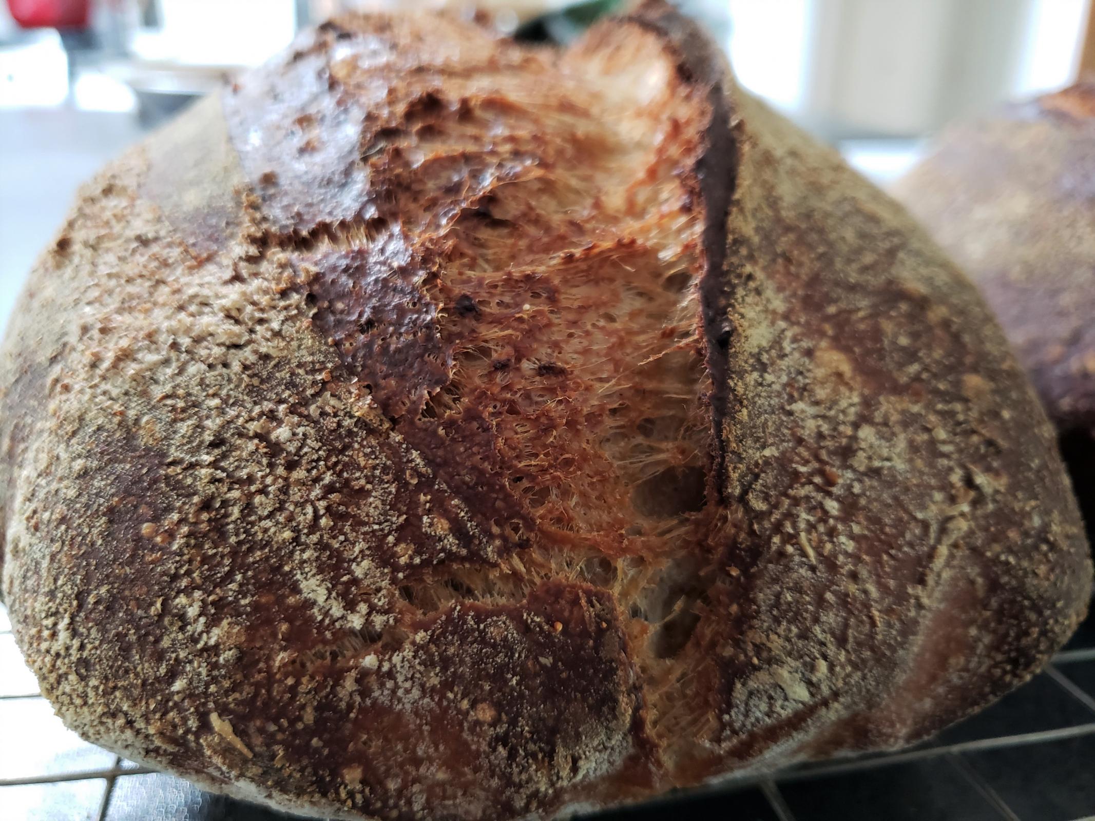 Cracked Grain Porridge Sourdough Bread The Fresh Loaf