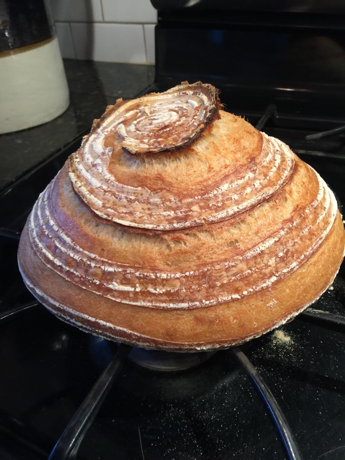 High gluten and All Purpose Flour | The Fresh Loaf