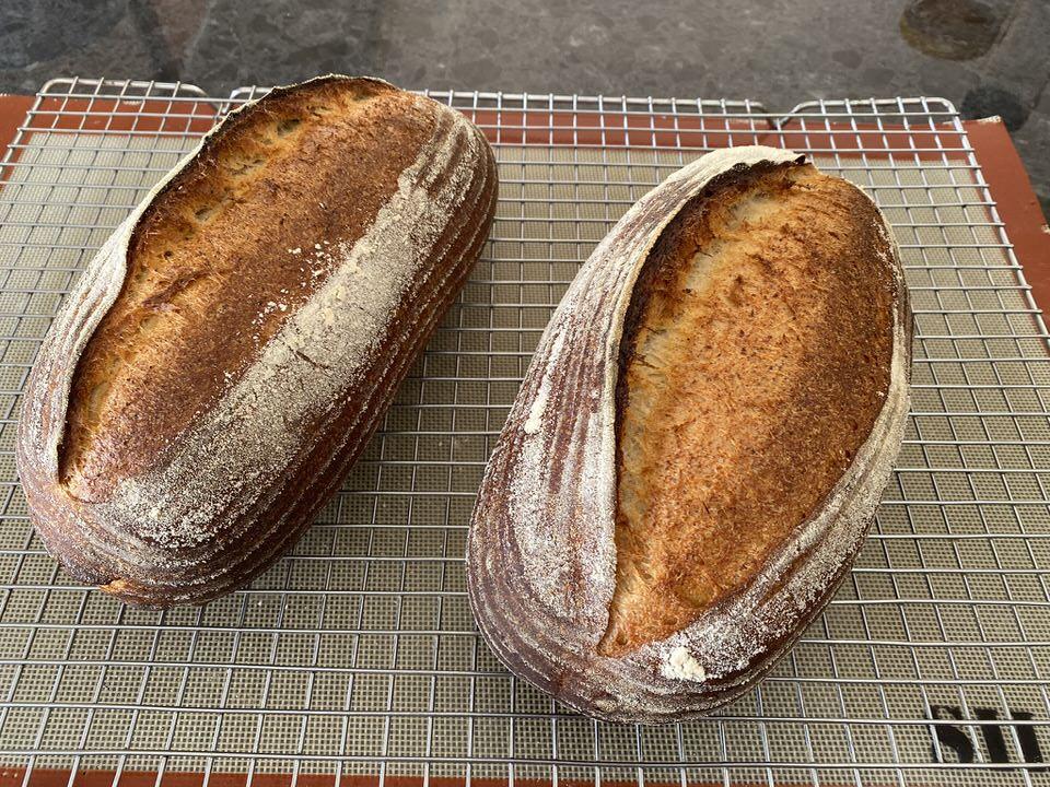 Sourdough with 10 Lupin Flour test bake 1. The Fresh Loaf
