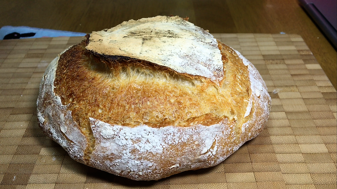 How to make No Knead Country Bread_ All Purpose Flour+Instant Yeast_Lodge Combo Cooker The