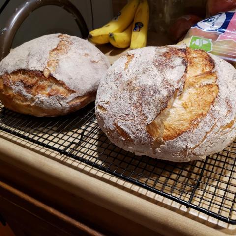 Did a long slow rise,  17 hours.  Made one mistake.  Tried adding the salt 5 hours after mixing ingredients.  Tried pinching the salt through the dough.  Wound up with pockets of Salt in final product. 