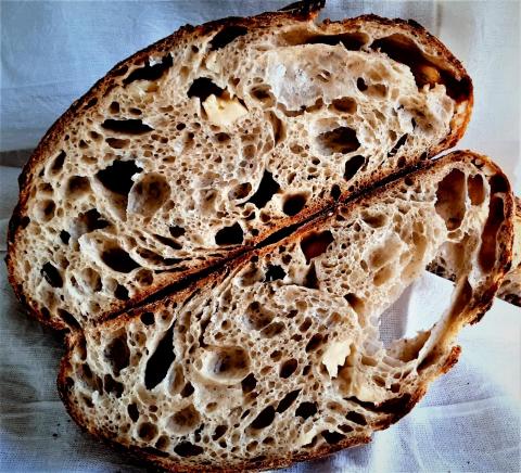 Roasted Garlic Sourdough with Asiago and Black Pepper