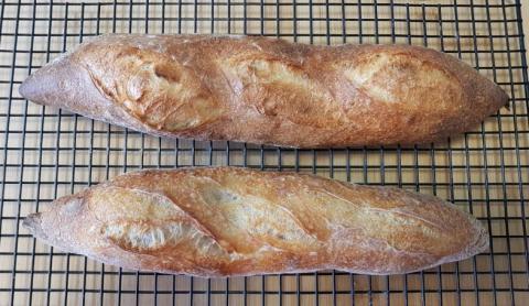 Baguette batch C bake 2 - crust outer (yeast and sourdough)