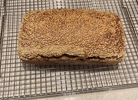 100% Whole Wheat “Workday” Bread