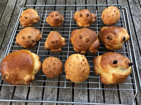 12 baked bread creatures - three of which are hedgehogs!