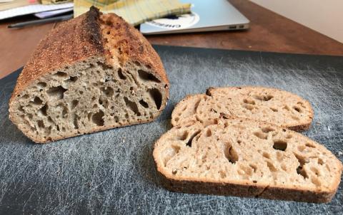Interior crumb of spelt loaf