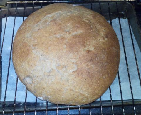 Second loaf from my first 50/50 wholemeal/white wheat starter.