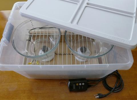 Building a Homemade Proofing Box - Kitchen Consumer - eGullet Forums